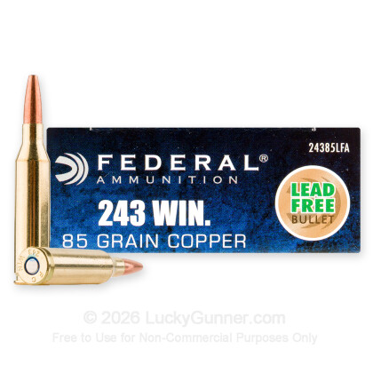 Image 1 of Federal .243 Winchester Ammo