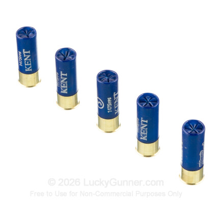 Image 4 of Kent 12 Gauge Ammo