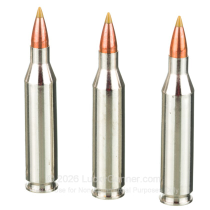 Large image of Premium 243 Ammo For Sale - 65 Grain Polymer Tip Ammunition in Stock by Browning BXV - 20 Rounds