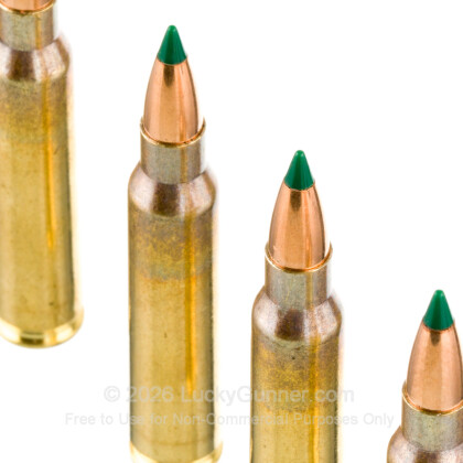 Image 5 of Australian Outback .223 Remington Ammo