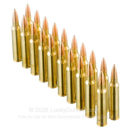Image 4 of Winchester .223 Remington Ammo