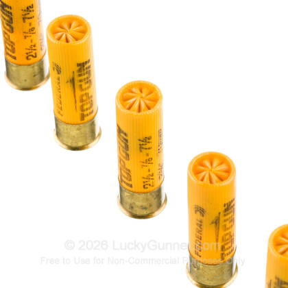 Image 5 of Federal 20 Gauge Ammo