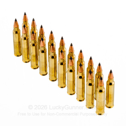 Image 4 of Winchester .223 Remington Ammo