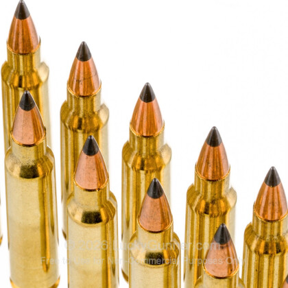 Image 5 of Winchester .223 Remington Ammo