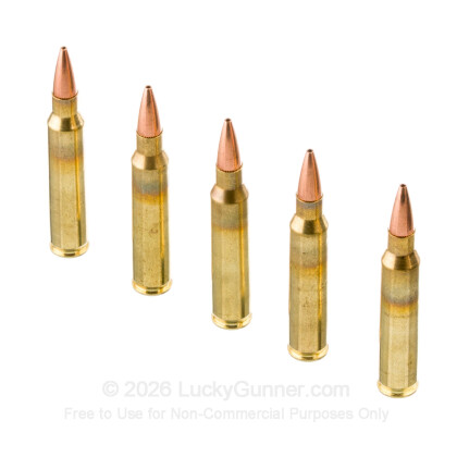 Image 4 of American Quality Ammunition 5.56x45mm Ammo