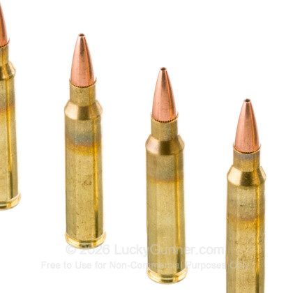 Image 5 of American Quality Ammunition 5.56x45mm Ammo