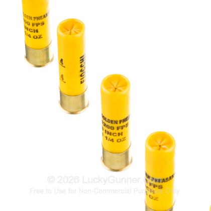 Image 5 of Fiocchi 20 Gauge Ammo