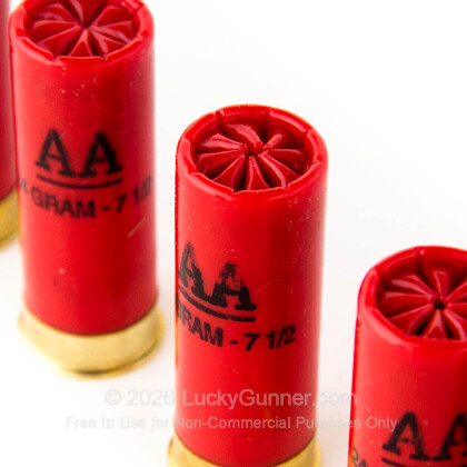 Image 5 of Winchester 12 Gauge Ammo