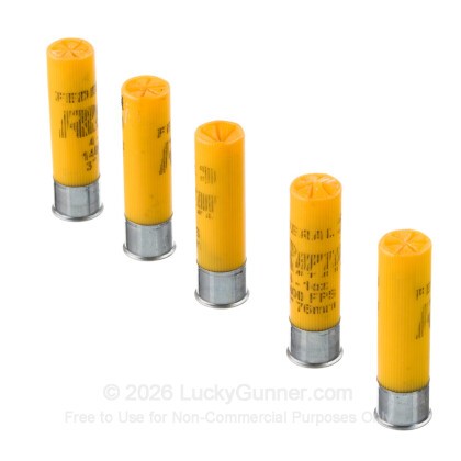 Image 4 of Federal 20 Gauge Ammo