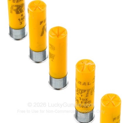 Image 5 of Federal 20 Gauge Ammo