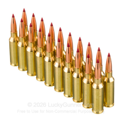Large image of Premium 6mm ARC Ammo For Sale - 103 Grain ELD-X Ammunition in Stock by Hornady Precision Hunter - 20 Rounds