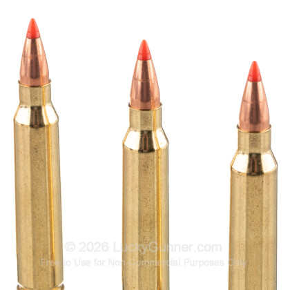 Image 5 of Federal .223 Remington Ammo