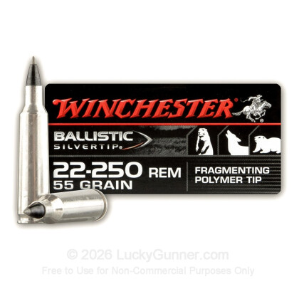 Image 1 of Winchester .22-250 Remington Ammo