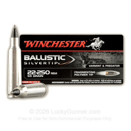Image 2 of Winchester .22-250 Remington Ammo