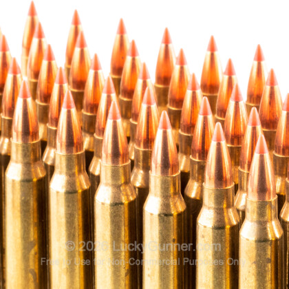 Large image of Premium 223 Rem Ammo For Sale - 40 Grain V-Max Ammunition in Stock by Black Hills - 50 Rounds