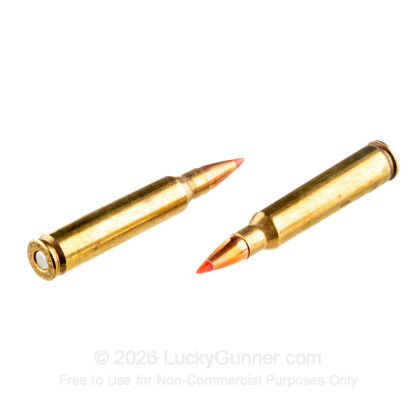 Large image of Premium 223 Rem Ammo For Sale - 40 Grain V-Max Ammunition in Stock by Black Hills - 50 Rounds