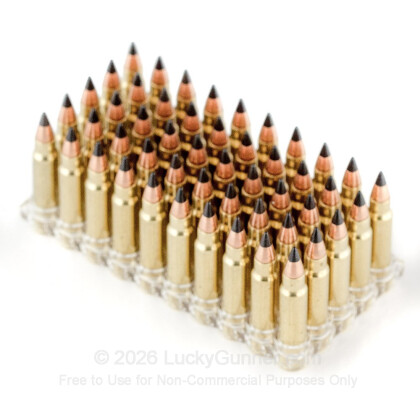 Image 4 of CCI .17 HMR Ammo