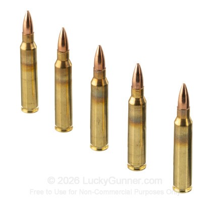 Image 4 of American Quality Ammunition 5.56x45mm Ammo