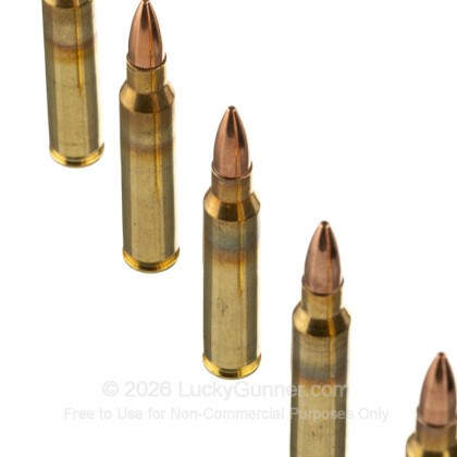 Image 5 of American Quality Ammunition 5.56x45mm Ammo