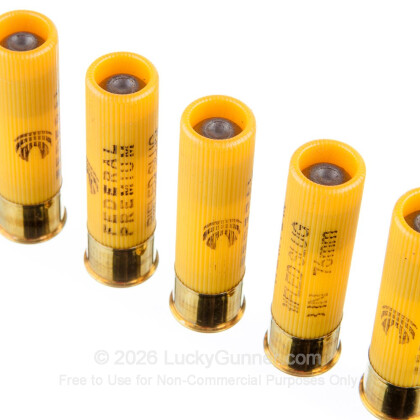 Image 5 of Federal 20 Gauge Ammo