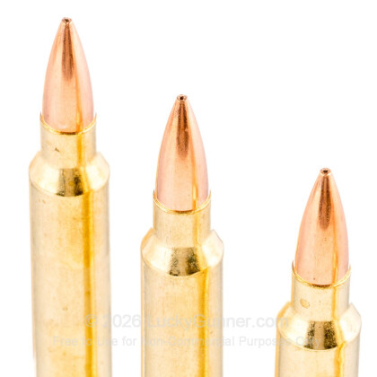 Image 5 of Federal .300 Winchester Magnum Ammo