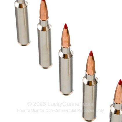 Image 5 of Federal 300 PRC Ammo