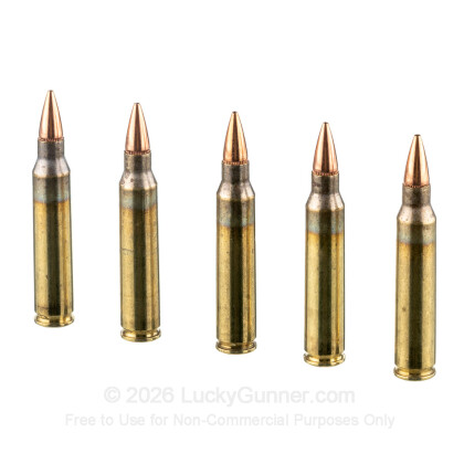 Image 4 of Hornady .223 Remington Ammo