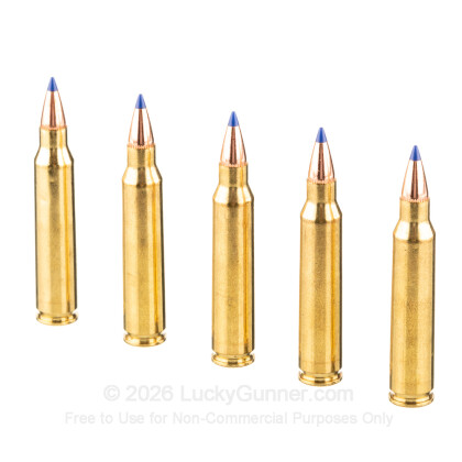 Image 4 of Federal .223 Remington Ammo