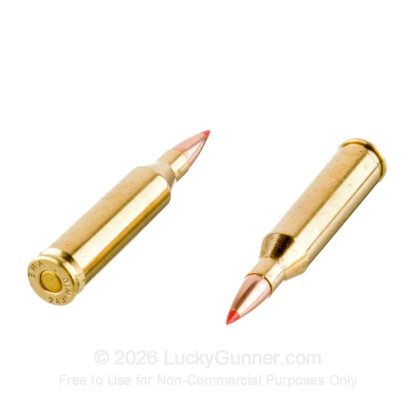 Large image of Premium 243 Ammo For Sale - 95 Grain SST Polymer Tip Ammunition in Stock by Black Hills Gold - 20 Rounds