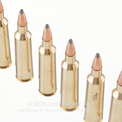 Large image of 22-250 Ammo For Sale - 55 gr PSP - Fiocchi Ammo Online