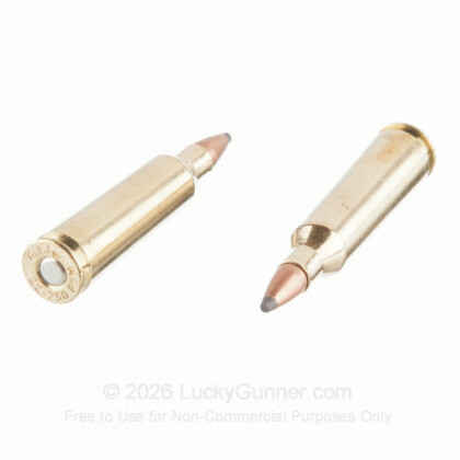 Large image of 22-250 Ammo For Sale - 55 gr PSP - Fiocchi Ammo Online