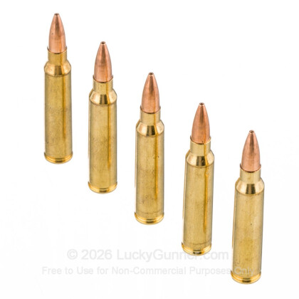 Image 4 of Federal .223 Remington Ammo
