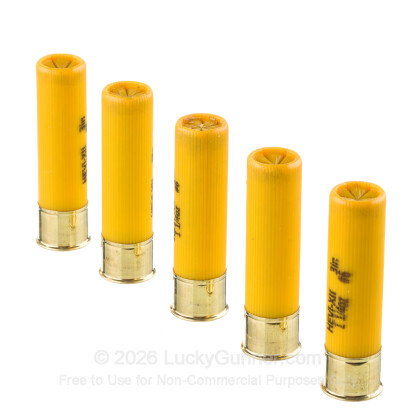 Image 4 of Hevi-Shot 20 Gauge Ammo