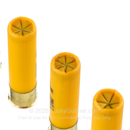 Image 5 of Hevi-Shot 20 Gauge Ammo