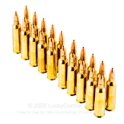 Large image of Premium 22-250 Ammo For Sale - 36 Grain Varmint Grenade HP Ammunition in Stock by Black Hills Gold - 20 Rounds