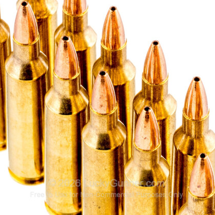 Large image of Premium 22-250 Ammo For Sale - 36 Grain Varmint Grenade HP Ammunition in Stock by Black Hills Gold - 20 Rounds
