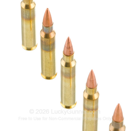 Image 4 of American Quality Ammunition 5.56x45mm Ammo