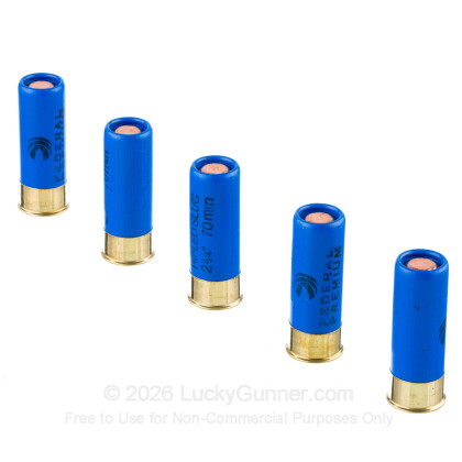 Image 4 of Federal 12 Gauge Ammo