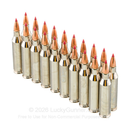 Image 4 of Hornady .243 Winchester Ammo