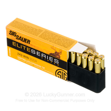 Large image of Sig 243 Ammo For Sale - 90gr Controlled Expansion Tip - 20