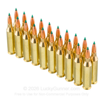 Large image of Sig 243 Ammo For Sale - 90gr Controlled Expansion Tip - 20