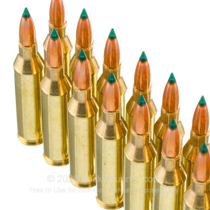 Large image of Sig 243 Ammo For Sale - 90gr Controlled Expansion Tip - 20