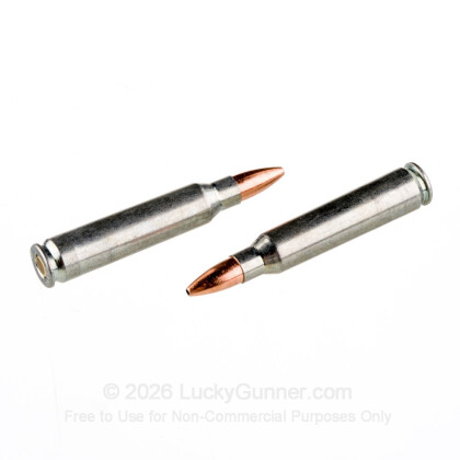 Image 6 of Silver Bear .223 Remington Ammo