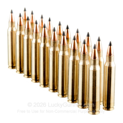 Image 4 of Winchester .223 Remington Ammo