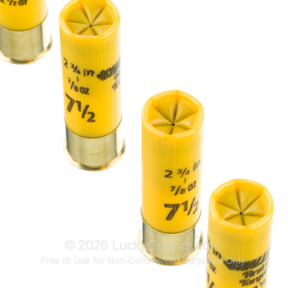 Image 5 of Challenger 20 Gauge Ammo