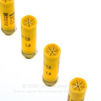 Image 5 of Fiocchi 20 Gauge Ammo