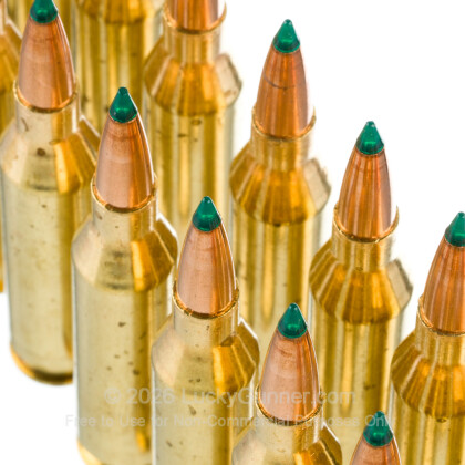 Large image of Premium 243 Ammo For Sale - 90 Grain TGK Ammunition in Stock by HSM Tipping Point - 20 Rounds