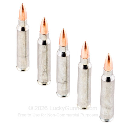 Image 4 of Silver Bear .223 Remington Ammo