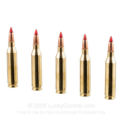 Image 4 of Winchester .243 Winchester Ammo