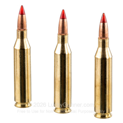 Image 5 of Winchester .243 Winchester Ammo